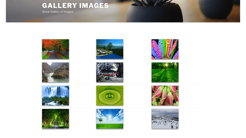 wpgallery4
